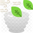 Hurricane Tropical Cyclone Typhoon Icon