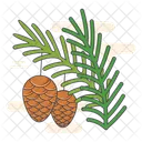 Litchi  Icon