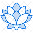 Lotus  Icon