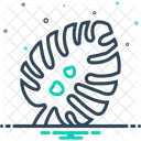 Monstera Leaf Monstera Leaf Icon