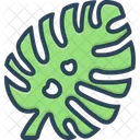 Monstera Leaf  Icon