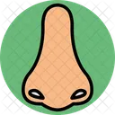 Nose Smell Sense Icon