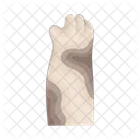 Cat Paw Dog Paw Animal Paw Icon