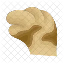 Cat Paw Dog Paw Animal Paw Icon