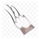 Paw Icon