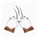 Paw Icon