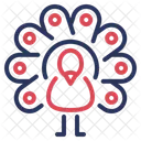 Peacock  Icon