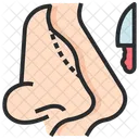 Plastic Surgery Cosmetology Icon