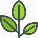 Scrub Hickory Leaf Nature Icon