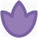 Tulip  Icon