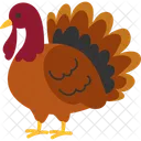Turkey Thanksgiving Autumn Icon