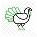 Turkey  Icon