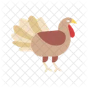 Turkey Chicken Food Icon