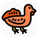 Turkey Bird Animal Icon