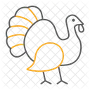 Turkey Bird Animal Icon