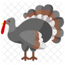 Turkey Thanksgiving Farmer Icon