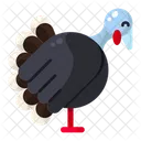 Turkey Thanksgiving Autumn Icon