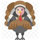 Turkey Thanksgiving Bird Icon