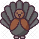 Turkey Chicken Bird Icon