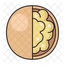 Walnut Nuts Dry Icon