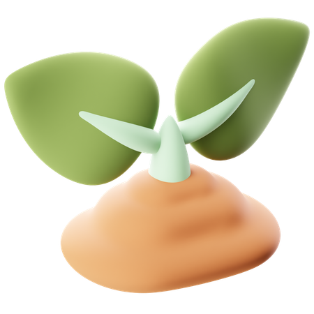 Seedling  3D Icon