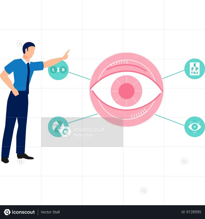 Boy is pointing to anatomy of eyes  Illustration