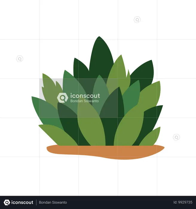 Green Grass  Illustration