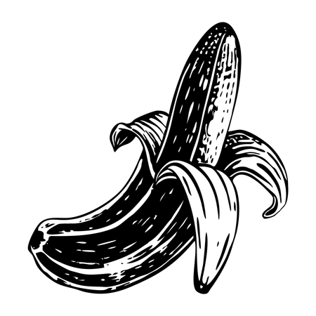 Banana Illustration