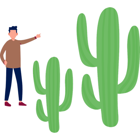 Boy explaining cereus plant  Illustration