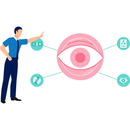 Boy is pointing to anatomy of eyes  Illustration