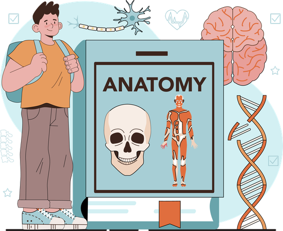 Boy studying anatomy subject  Illustration