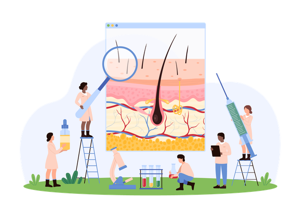 Diagnosis and treatment of scalp diseases and hair loss dermatology trichology  Illustration