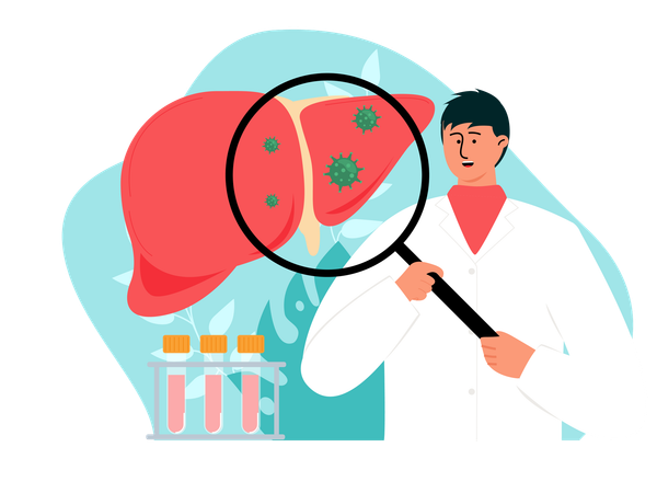 Doctor doing liver diagnosis  Illustration