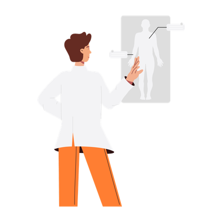 Doctor looking Human Anatomy  Illustration