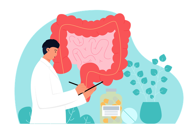 Doctor working on stomach diagnosis  Illustration