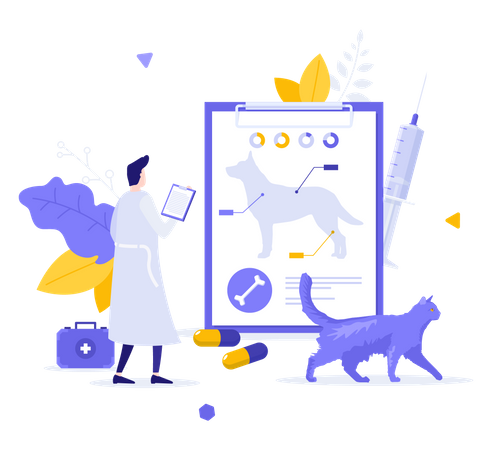 Dog Anatomy  Illustration