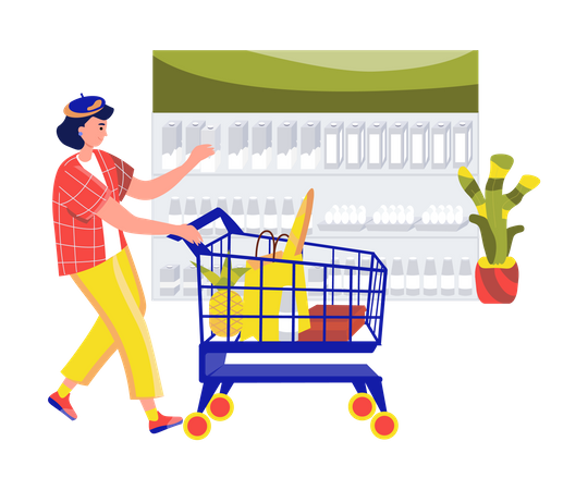 Girl doing Grocery Shopping  Illustration