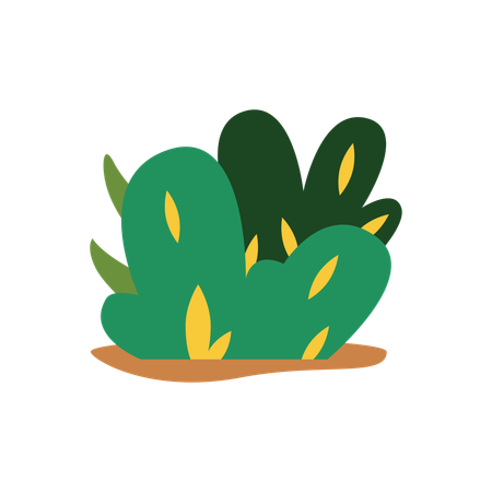 Green Grass  Illustration