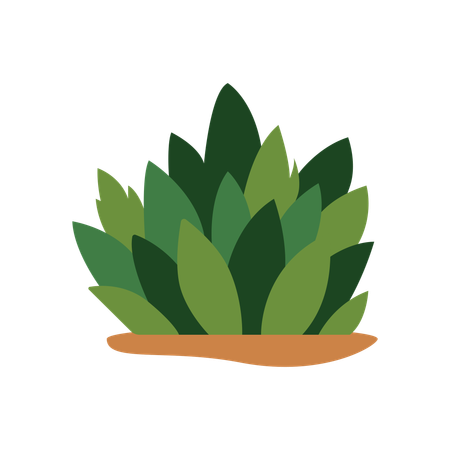 Green Grass  Illustration