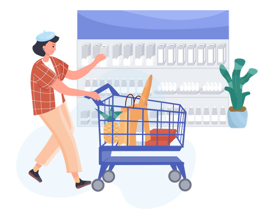 Grocery Shopping  Illustration