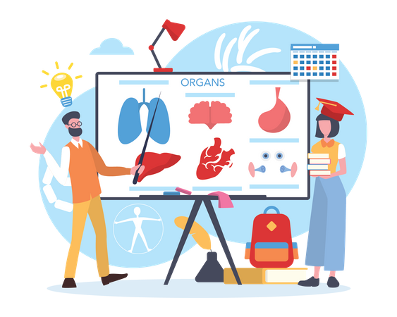 Human body anatomy science subject  Illustration
