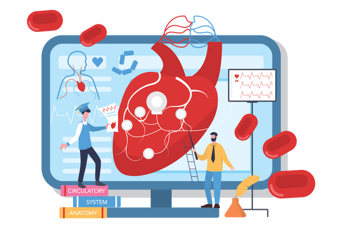Human internal heart organs  Illustration