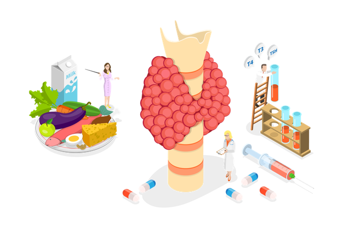 Hypothyroidism  Illustration