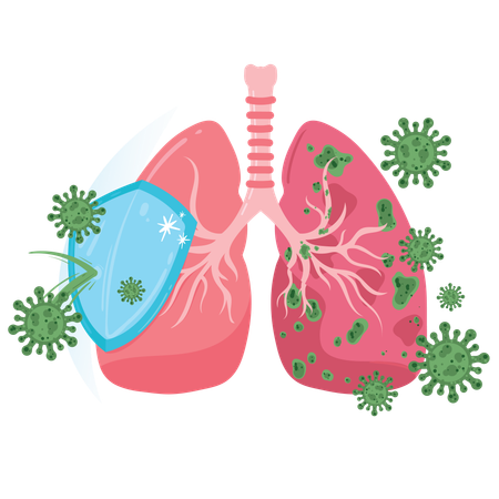 Lung Defence  Immune System Protection Against Virus Attack  Illustration