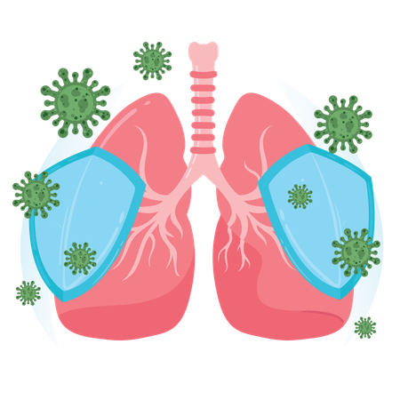 Lung Defence  Immune System Protection Against Virus Attack  Illustration