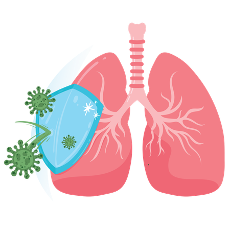 Lung Defence  Immune System Protection Against Virus Attack  Illustration
