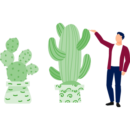 Man presenting cereus plant  Illustration
