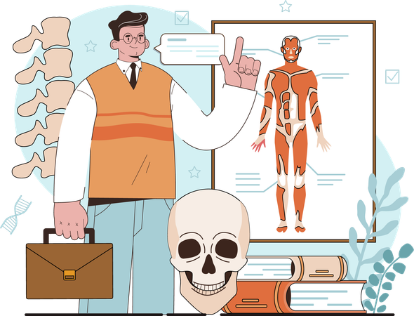 Man showing Anatomy body Illustration