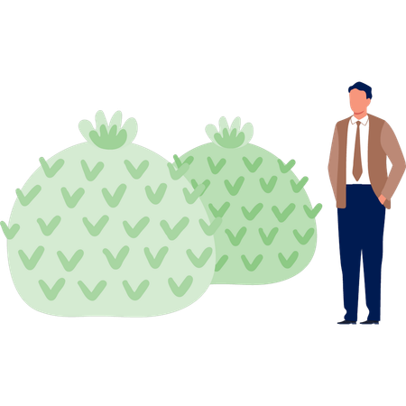 Man standing near artichoke cactus  Illustration