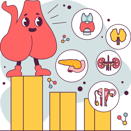 Pituitary gland anatomy  Illustration